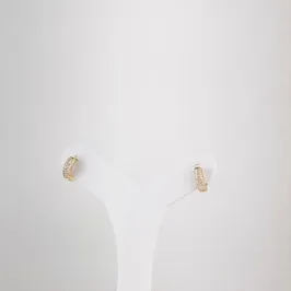 Brinco Argola Cravejada em Zircônias Folheado a Ouro 18k