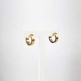 Brinco Argola em Zircônias Aço Inox 316L Dourado