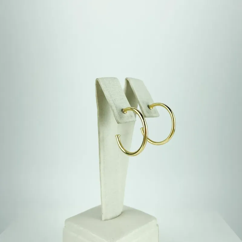 Brinco Argola Lisa Fina Folheado a Ouro 18k