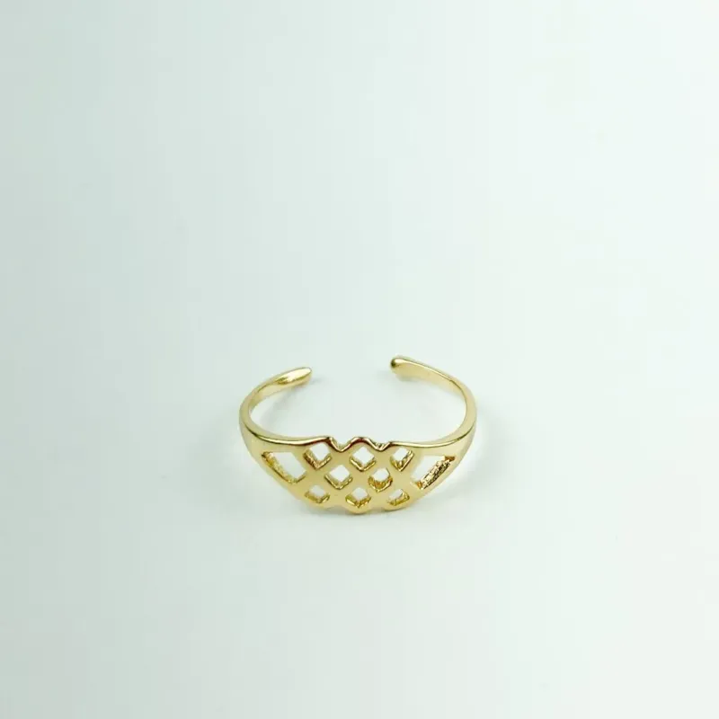 Anel Ajustável Aros Vazados Folheado a Ouro 18k