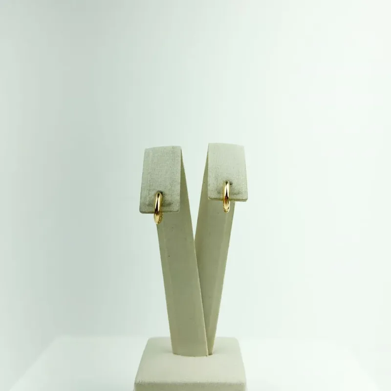 Brinco Argola Lisa Folheado a Ouro 18k